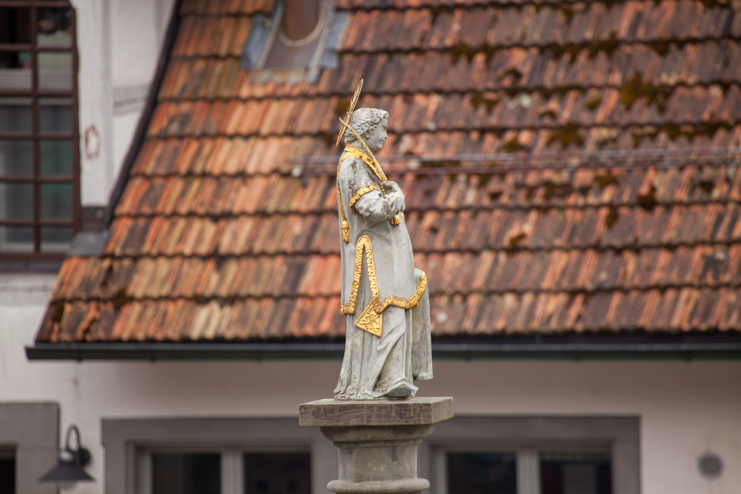 20110313134153 IMG 7308